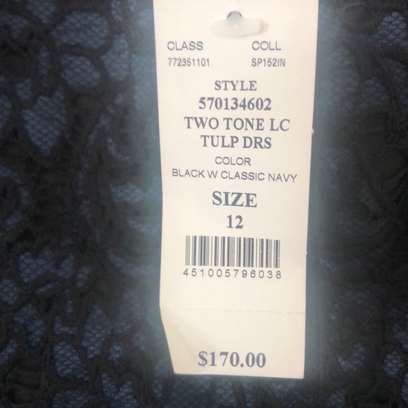 WHBM Sleeveless Lace Dress - Picture 7 of 9